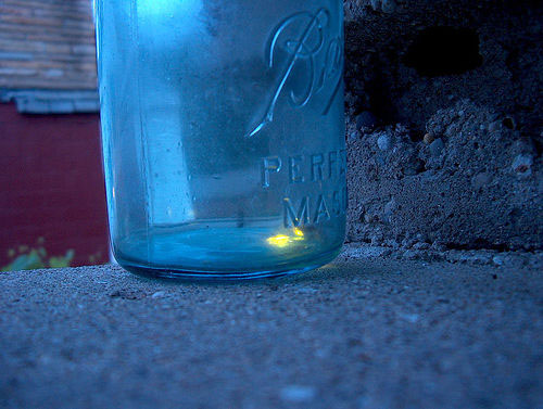 Firefly in a jar