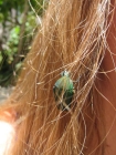 What Does It Mean When a Beetle Lands in Your Hair?